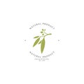 Eucalyptus oil. Logo template